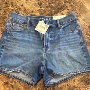 American Eagle Outfitters Womens Classic Strigid Blue Jean Relaxed Shorts Size 0